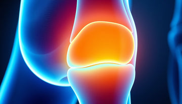 Sulfate Glucosamine Benefits: How It Supports Joint Health Naturally