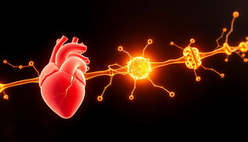 Vitamin K2: Unlocking Hidden Bone and Heart Health Benefits