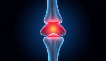 Understanding Joint Capsules: Key to Improved Mobility and Health