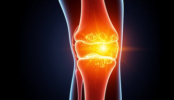 Glucosamine Chondroitin: The Surprising Joint Relief Secrets Revealed