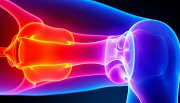 Cartilage Supplements: Essential Benefits for Joint Health and Mobility