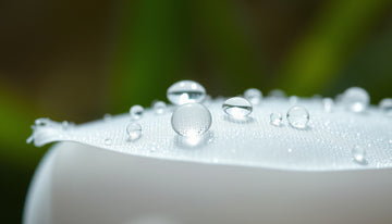 Eggshell membrane: Natural Joint Relief, Benefits, and How to Use