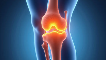 Arthrofibrosis: How to Recognize, Treat, and Prevent Stiff Joints