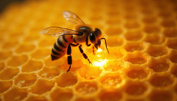 bee venom breakthroughs: natural treatments, risks, and surprising benefits