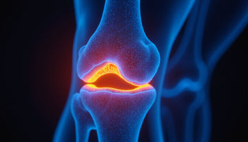 keratan sulfate breakthrough: Natural cartilage repair secrets revealed