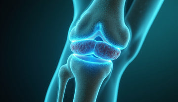 cartilage maintenance: 9 Proven Strategies to Prevent Joint Pain