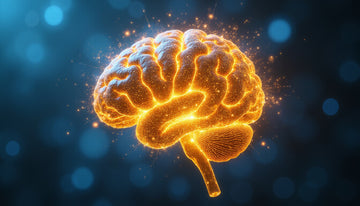 Docosahexaenoic Acid Benefits: Boost Brain Health, Mood, and Immunity