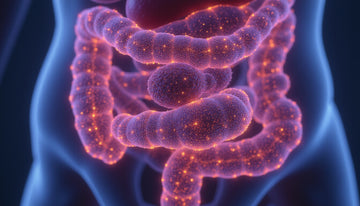 type III collagen: The Hidden Protein Powering Skin, Gut, and Healing