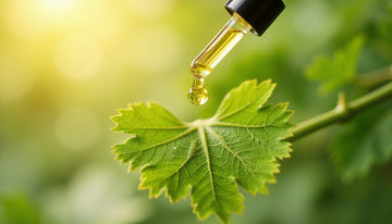 celery seed extract: Powerful Natural Support for Blood Pressure and Inflammation