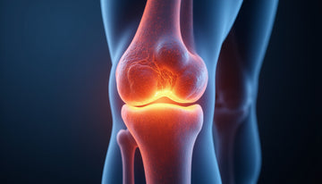 synovial membrane secrets: How joint lining affects pain and mobility