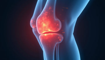 joint space width: why small gaps predict knee pain and limited mobility