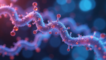 anti-hyaluronan antibodies: emerging biomarker reshaping autoimmune diagnosis and therapy