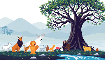 Unlocking Long Term Value: Essential Tips for Effective Joint Support